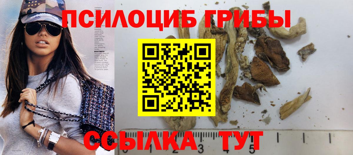 Лосино-Петровский  Галлюциногенные грибы прущие грибы  Вход с VPN 