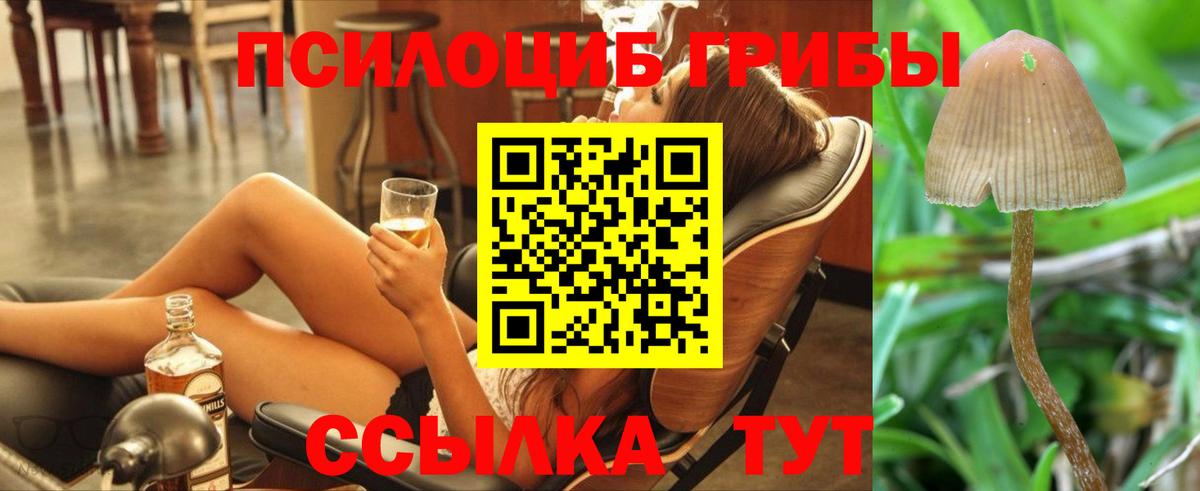 Псилоцибиновые грибы Magic Shrooms Лосино-Петровский